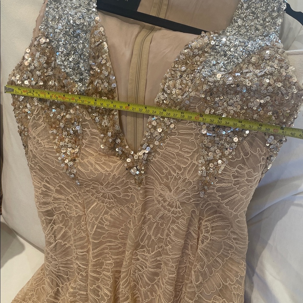 Georges Hobeika beaded and lace Gown - Picture 9 of 15